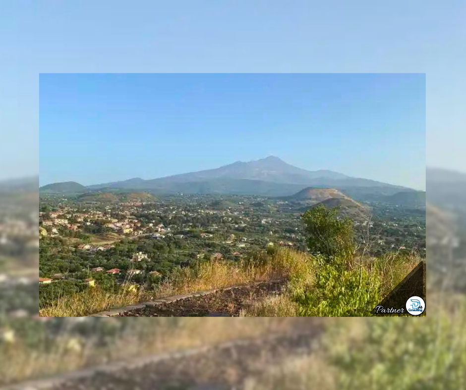 I dintorni dell'Agrifoglio dell'Etna a Trecastagni (CT)